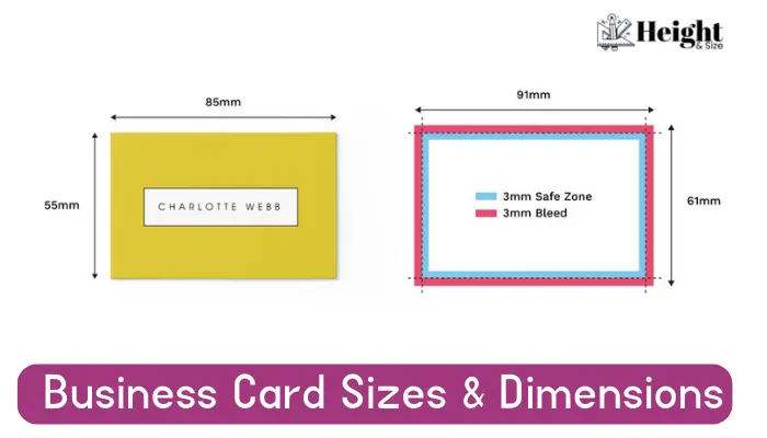 business card dimension