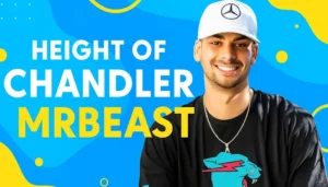 chandler mr beast