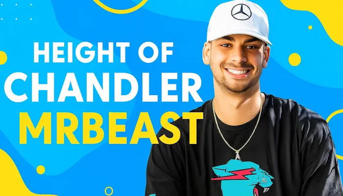 chandler mr beast